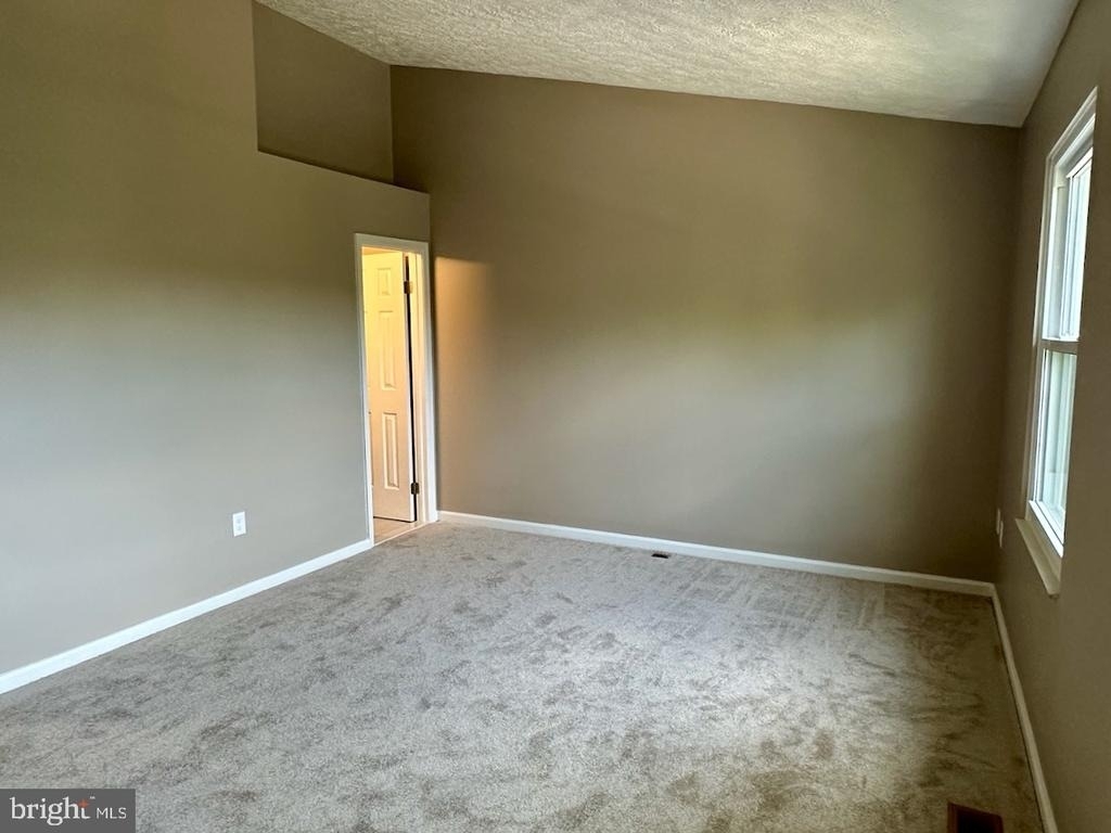 310 Fleece Flower Drive - Photo 21