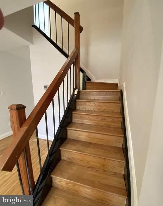 802 Mangold Street - Photo 7
