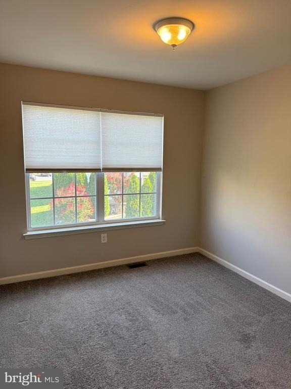 923 Lansdowne Road - Photo 15