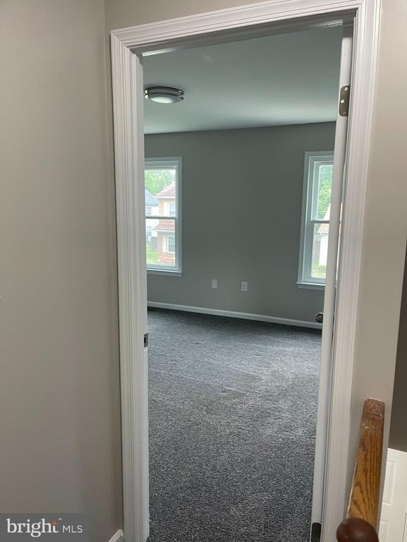 35 Honeysuckle Drive - Photo 34