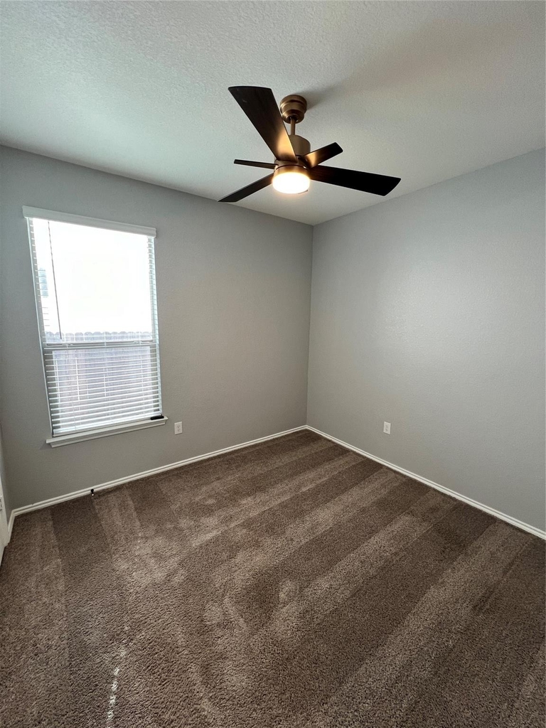 6516 Carriage Pines Dr - Photo 18