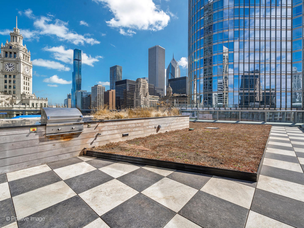 403 N Wabash Avenue - Photo 31