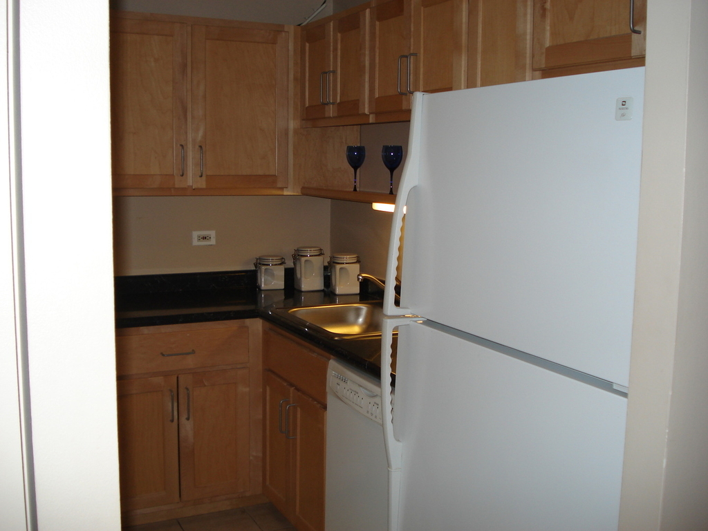 211 E Ohio Street - Photo 4