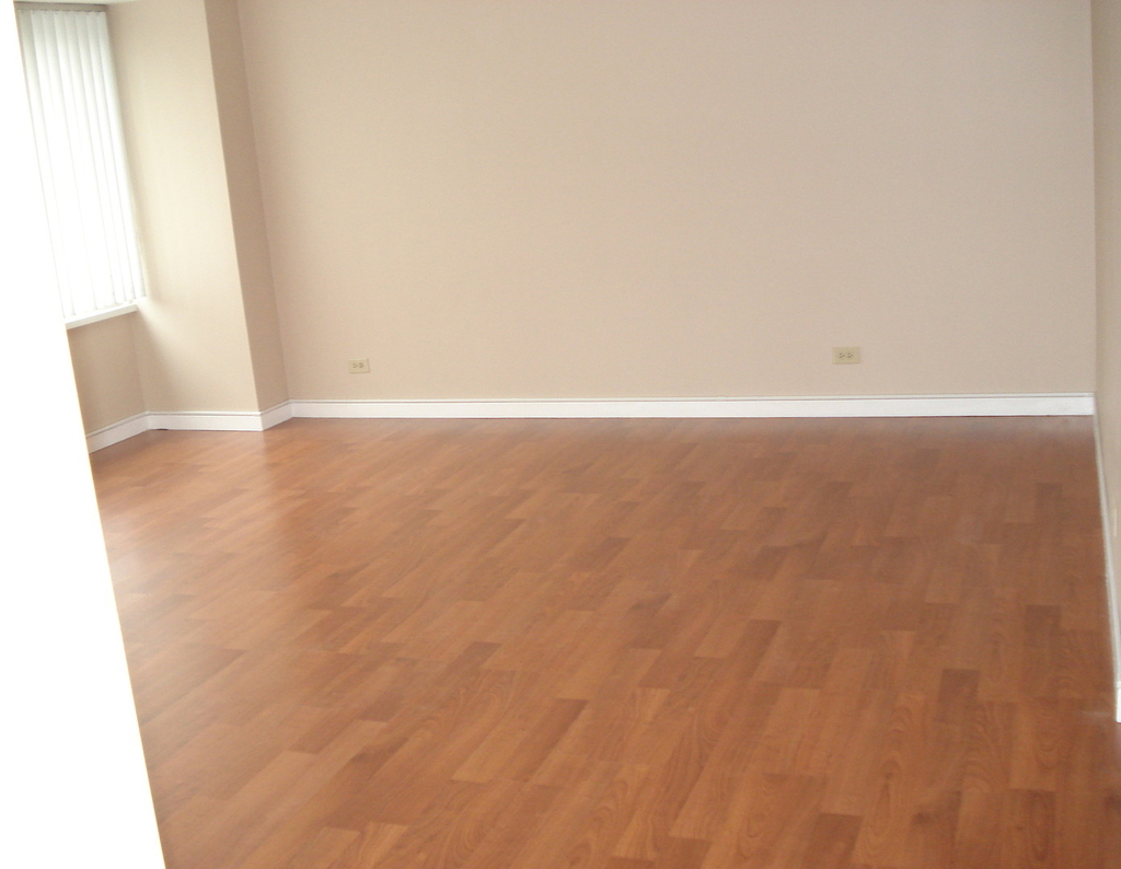 211 E Ohio Street - Photo 3