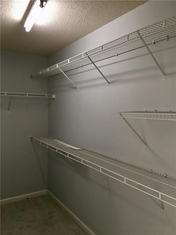 6004 Falling Water Court - Photo 16