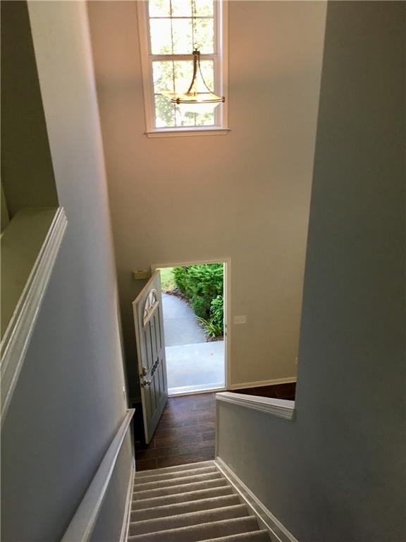 6004 Falling Water Court - Photo 12