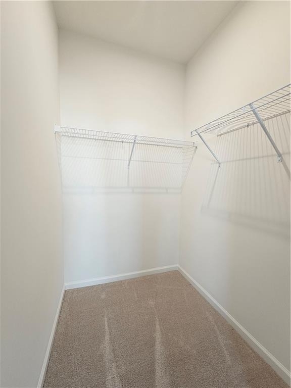 3250 Willow Glade Trail - Photo 9