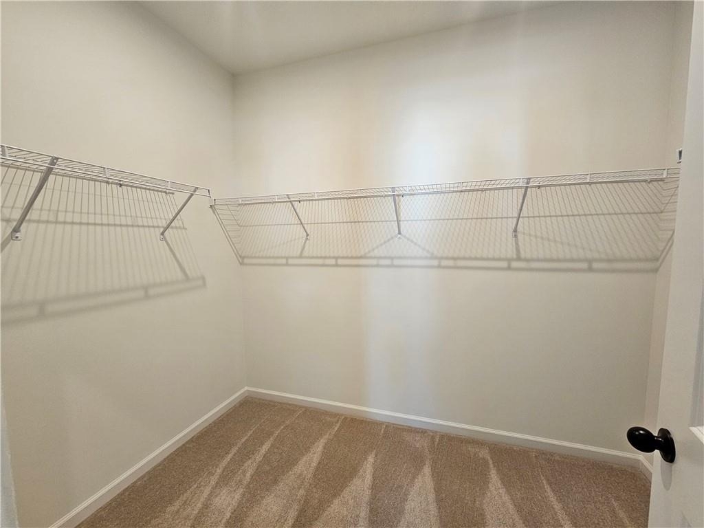 3250 Willow Glade Trail - Photo 28