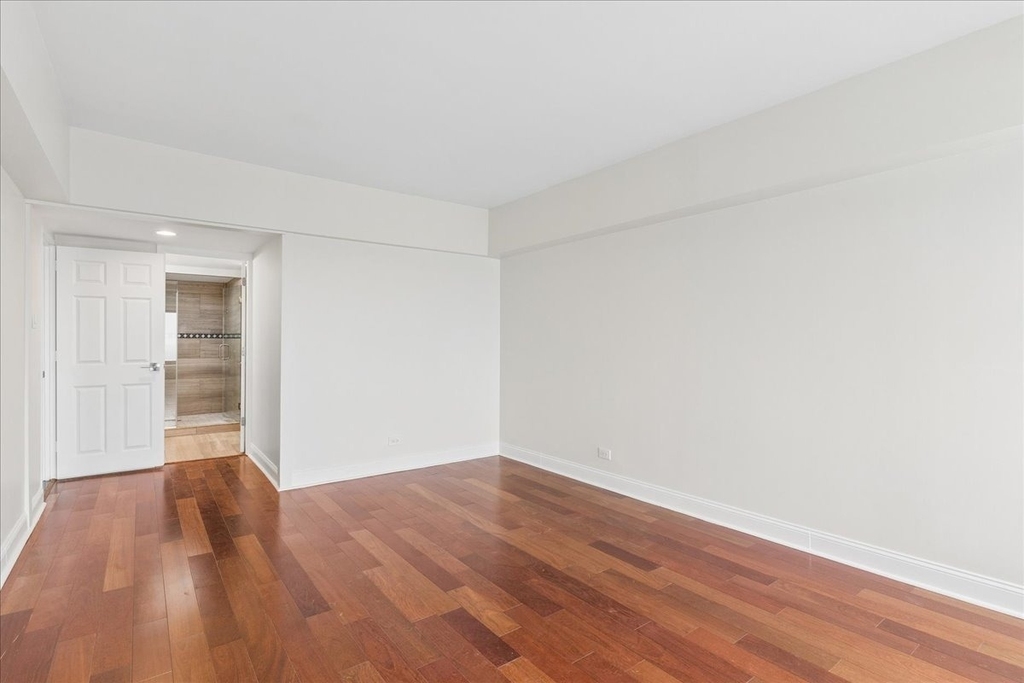 175 E Delaware Place - Photo 18