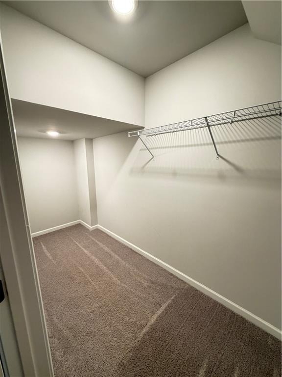 4236 Hickory Pine Alley - Photo 25