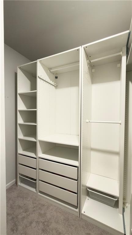 4236 Hickory Pine Alley - Photo 17
