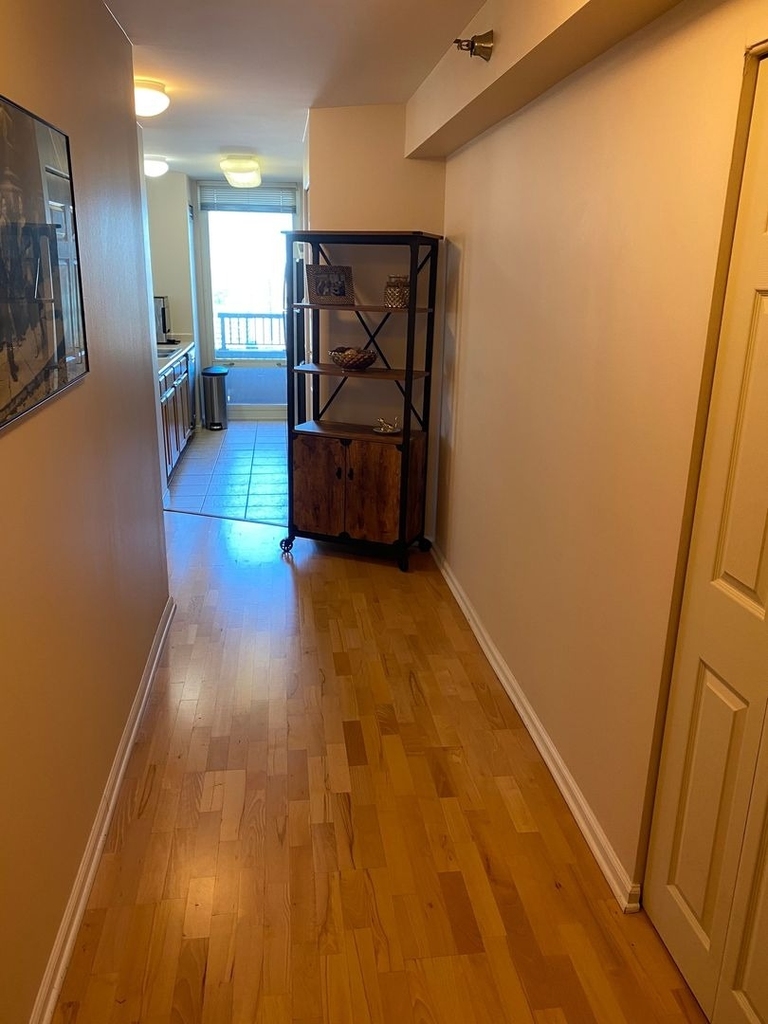 345 N Lasalle Drive - Photo 4