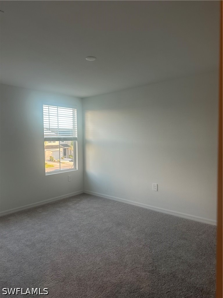 4241 Caterina Court - Photo 10