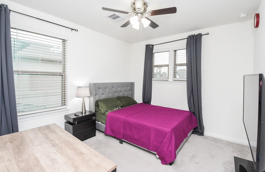 17250 Texas Willow Dr - Photo 14