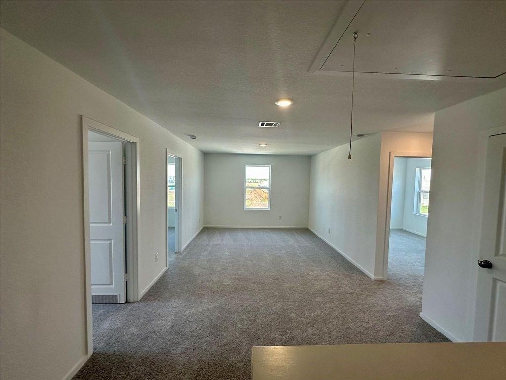 6407 Begonia Trellis Drive - Photo 3