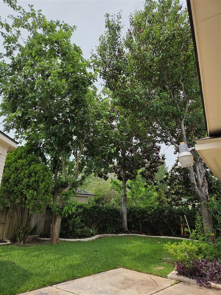 4306 Lakeside Meadow Drive - Photo 38