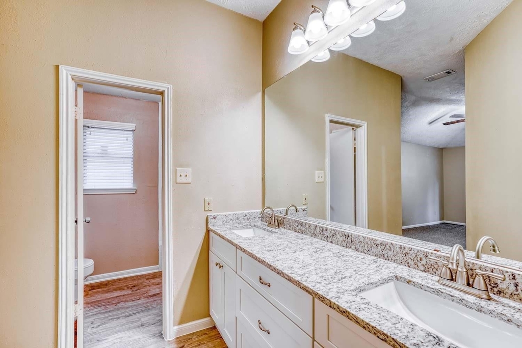 10579 Twilight Moon Drive - Photo 9