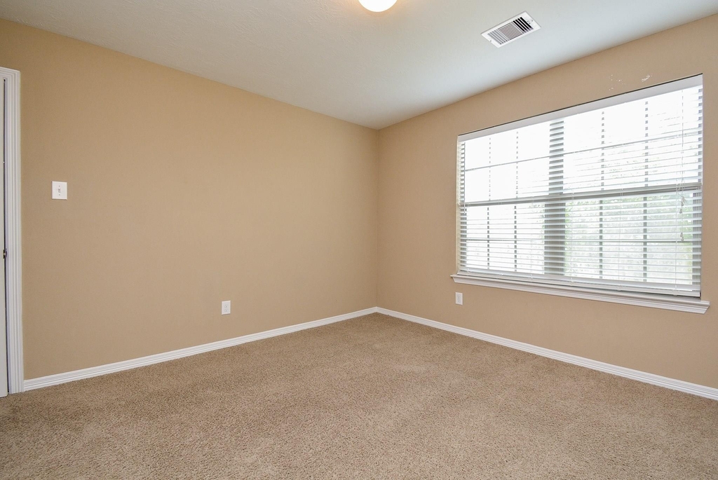 26406 Harmony Mill Court - Photo 29