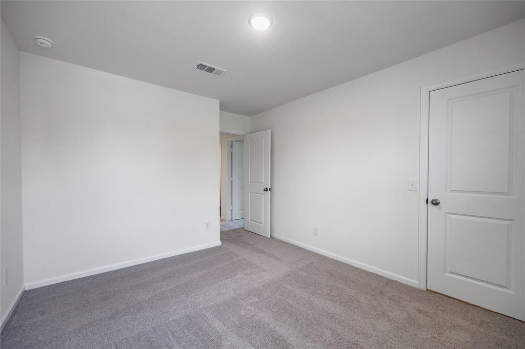 31114 Gayle Prairie Oaks Street - Photo 43