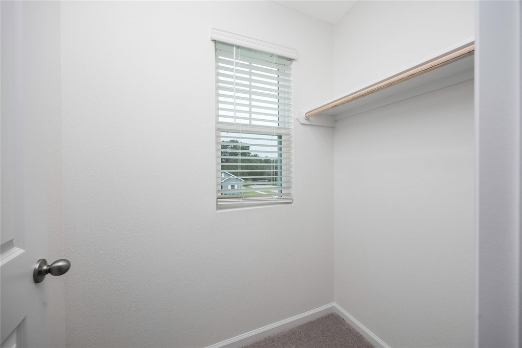 31114 Gayle Prairie Oaks Street - Photo 41