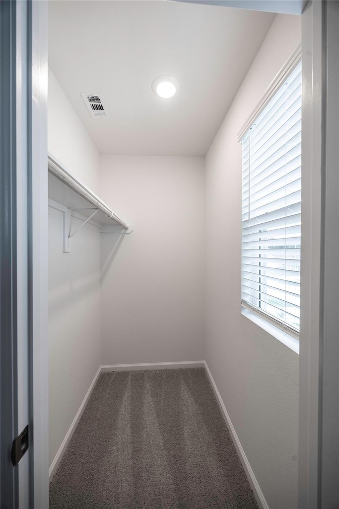 31114 Gayle Prairie Oaks Street - Photo 44