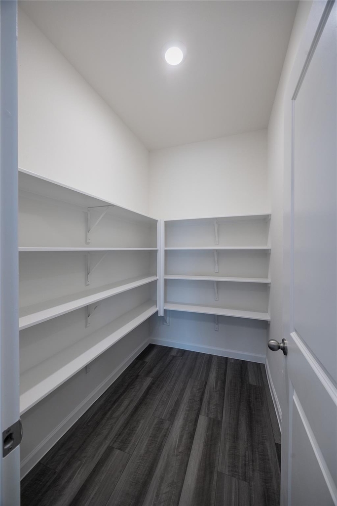 31114 Gayle Prairie Oaks Street - Photo 13