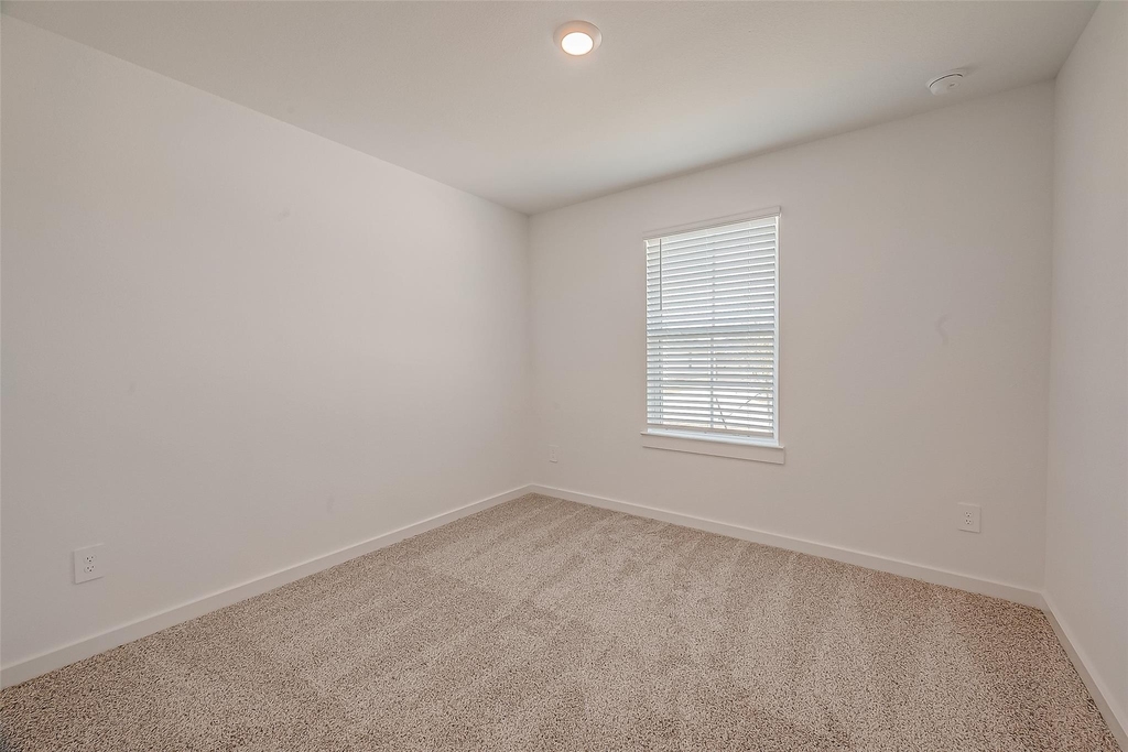 1018 Fringed Bluestar Drive - Photo 19