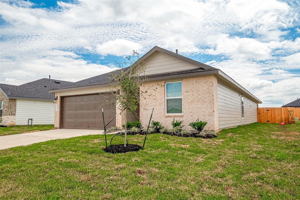1018 Fringed Bluestar Drive - Photo 3