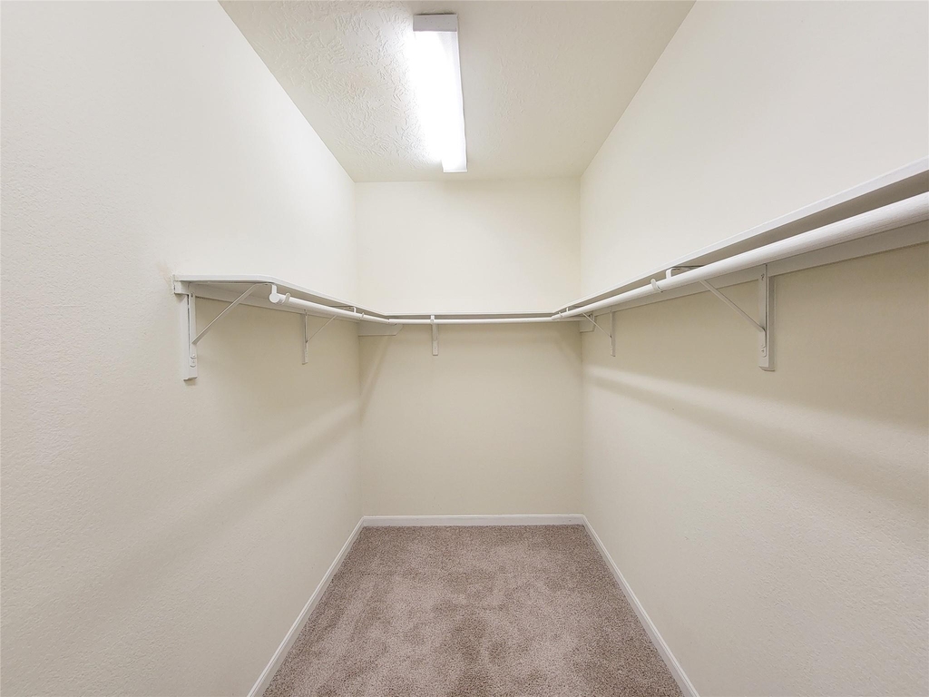 3007 Meadow Prairie Street - Photo 18