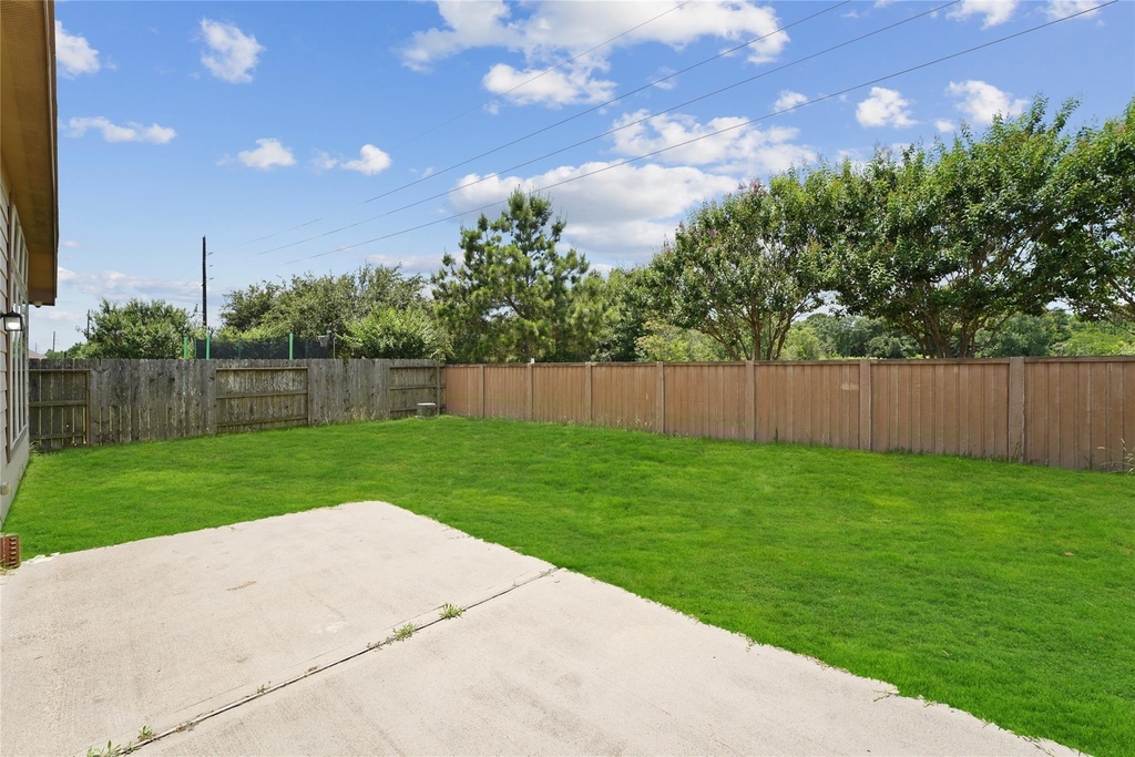3007 Meadow Prairie Street - Photo 28