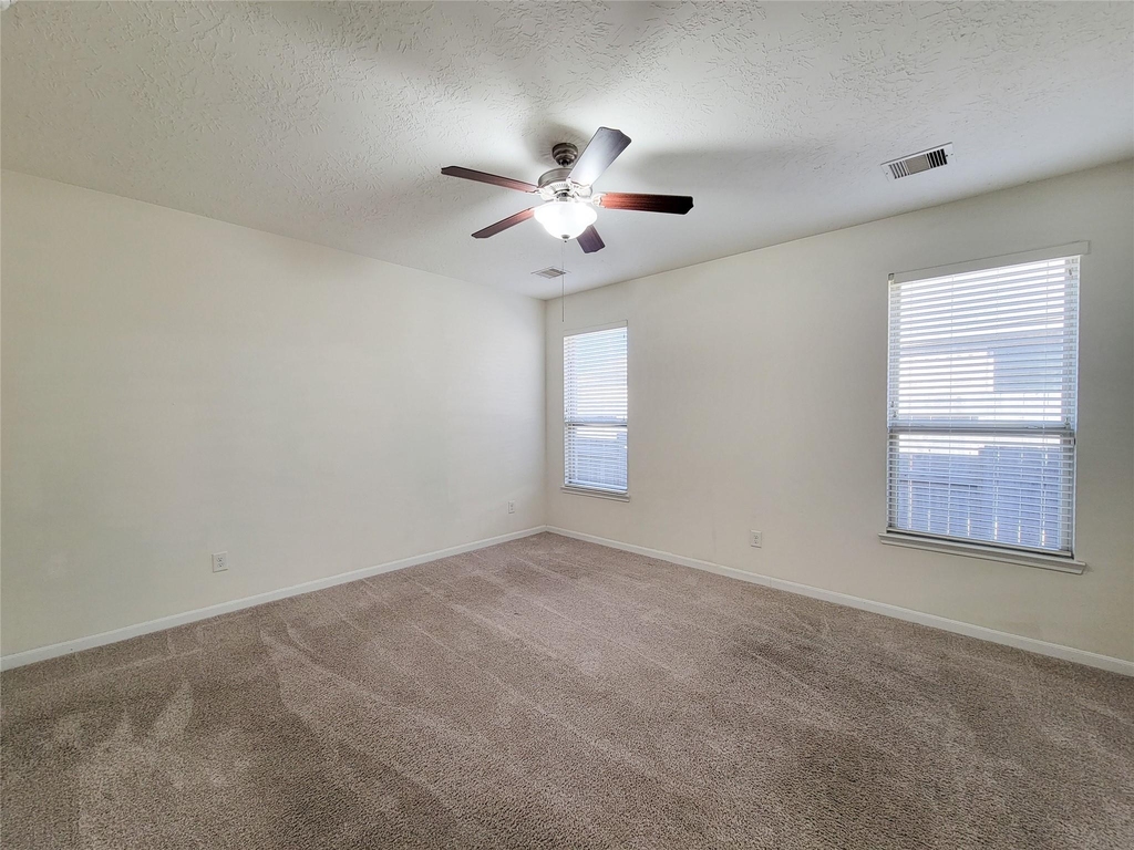 3007 Meadow Prairie Street - Photo 15