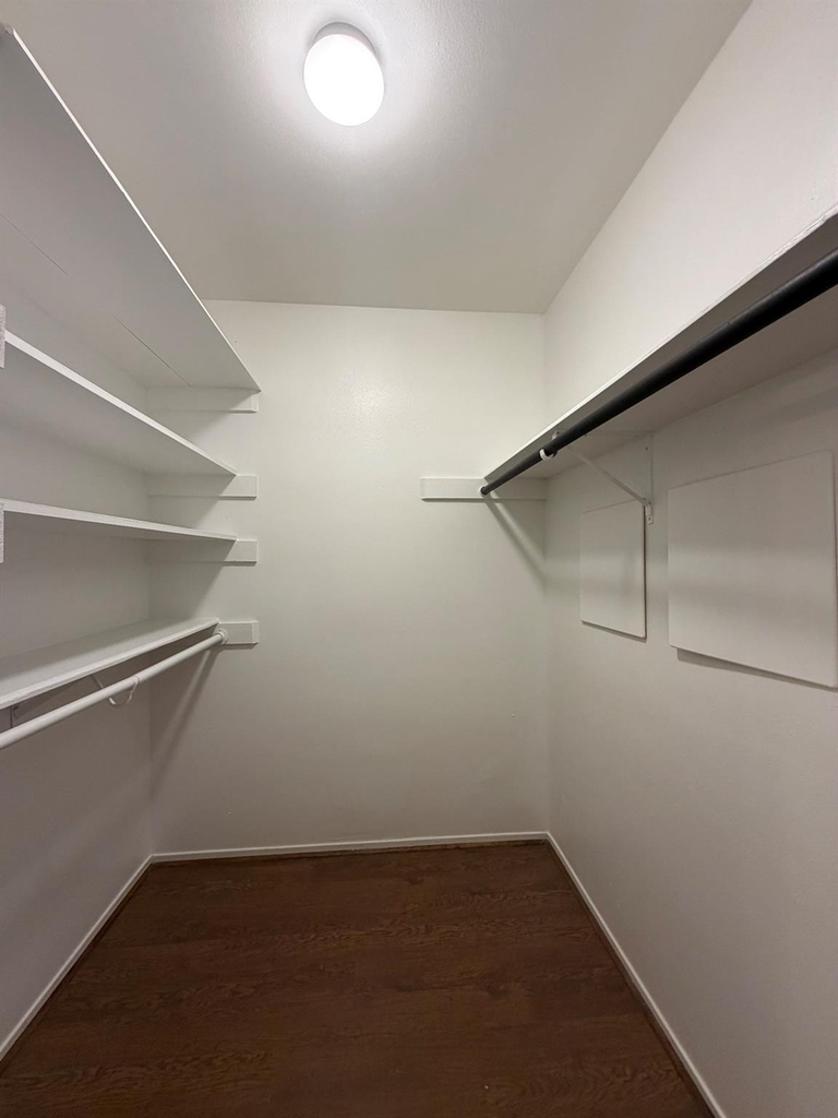 12925 Trail Hollow Drive - Photo 15