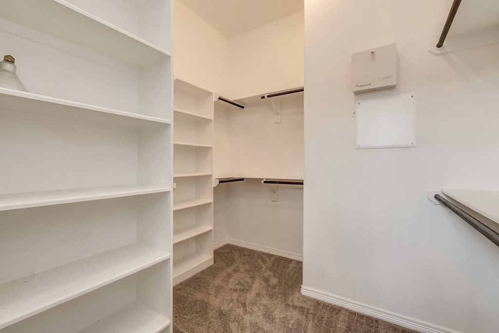 1615 Shearn Street - Photo 19