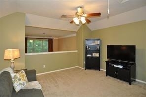 14107 Spring Mountain Lane - Photo 9