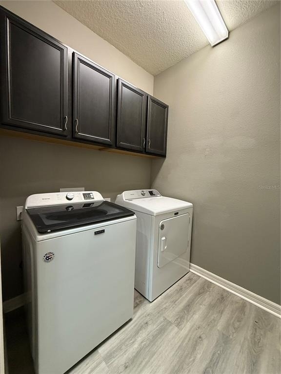 10638 Laguna Plains Drive - Photo 36
