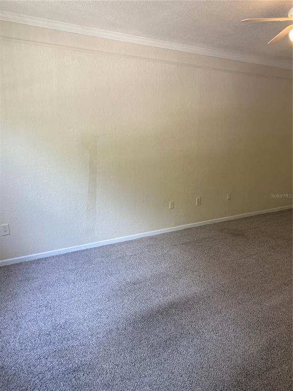 17110 Carrington Park Drive - Photo 2