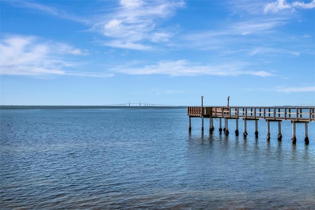 650 Pinellas Point Drive S - Photo 30