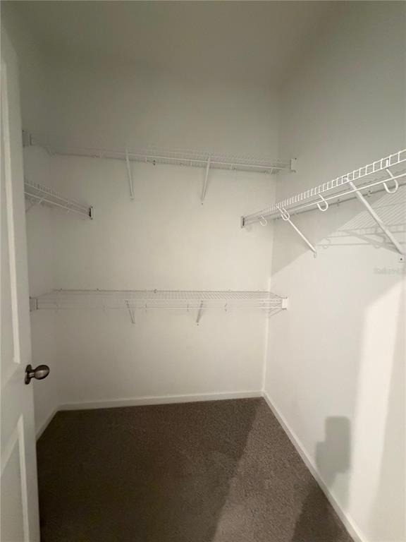 9908 Red Canoe Alley - Photo 18