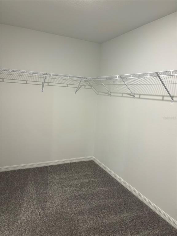 3615 Natural Trace Street - Photo 15