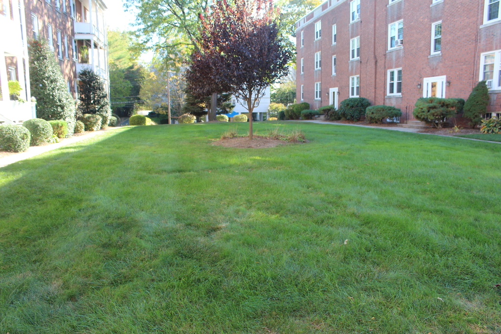 888 Farmington Avenue - Photo 25