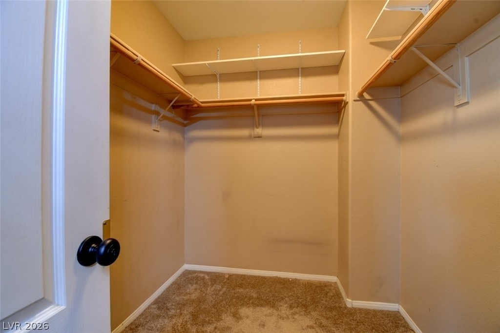3749 Alpine Bypass Avenue - Photo 9