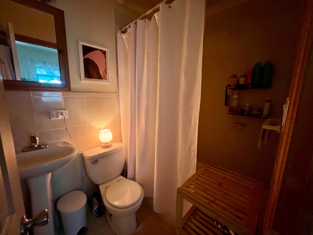 6 Brevoort Place - Photo 6