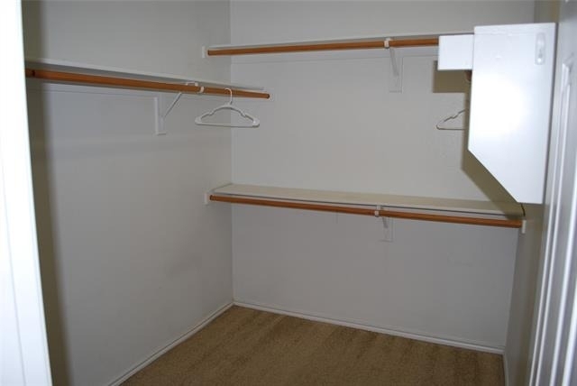 4713 Fox Sedge Lane - Photo 25