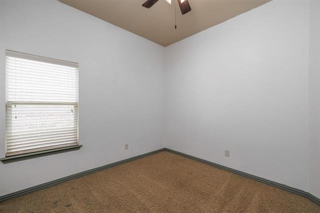 11116 Davis Mountain Road - Photo 9