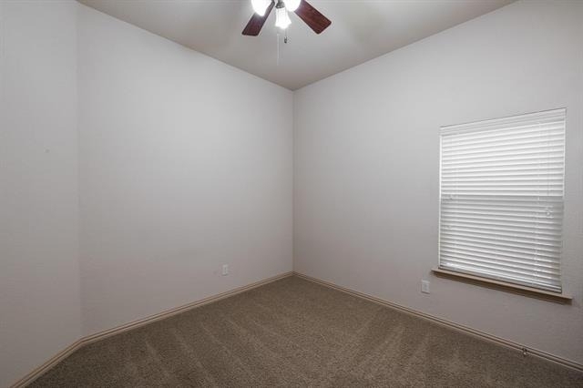 11116 Davis Mountain Road - Photo 10