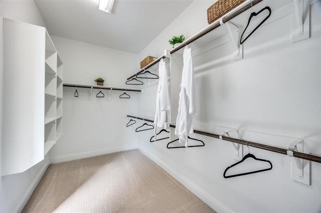 8213 Centipede Court - Photo 20
