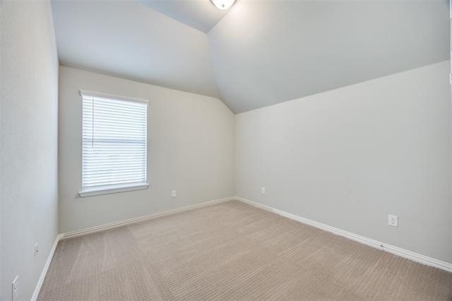 8213 Centipede Court - Photo 18