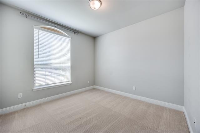 8213 Centipede Court - Photo 17