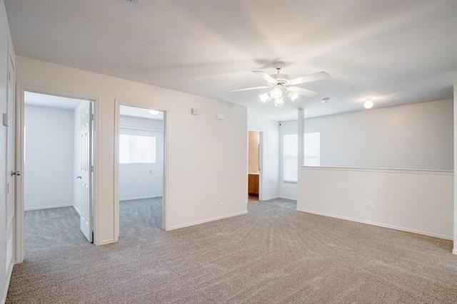 10540 Flagstaff Run - Photo 17