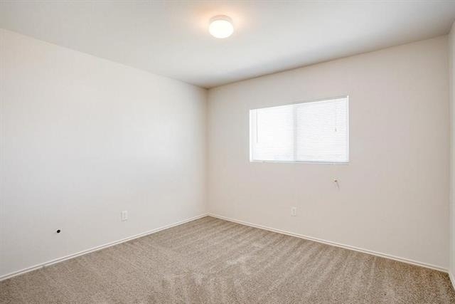 10540 Flagstaff Run - Photo 20